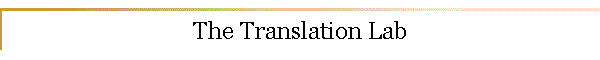 The Translation Lab